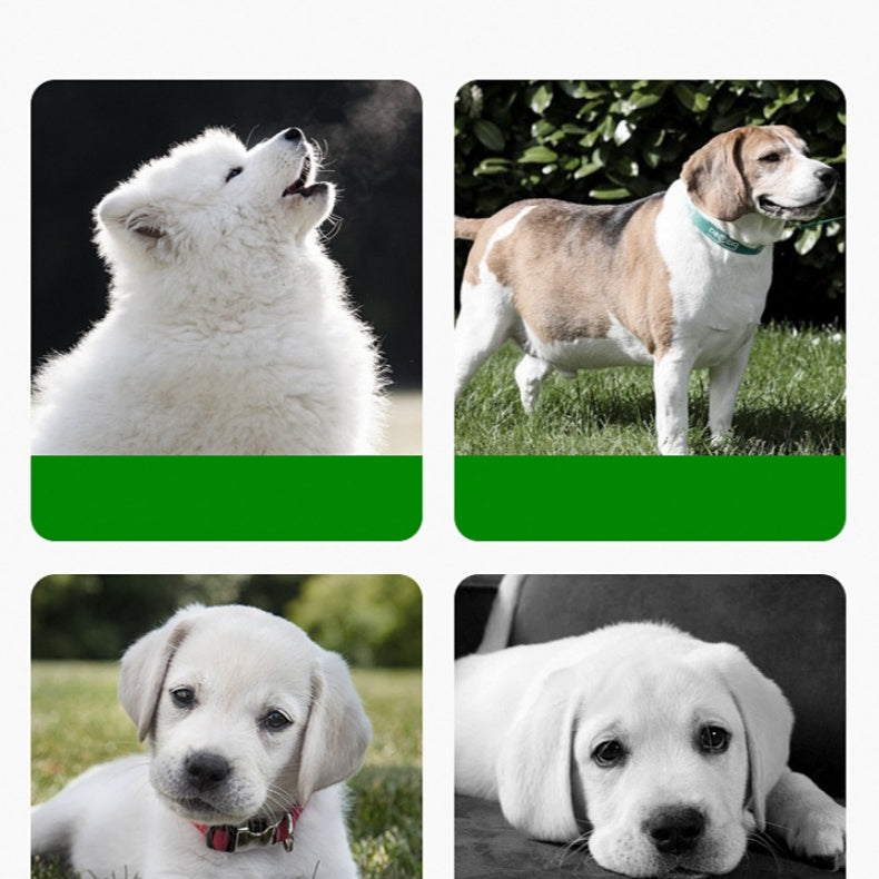 Innovative Silicone Feeding Mat for Animals
