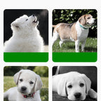 Innovative Silicone Feeding Mat for Animals