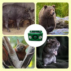 Solar-powered animal repellent warning light with high alarm