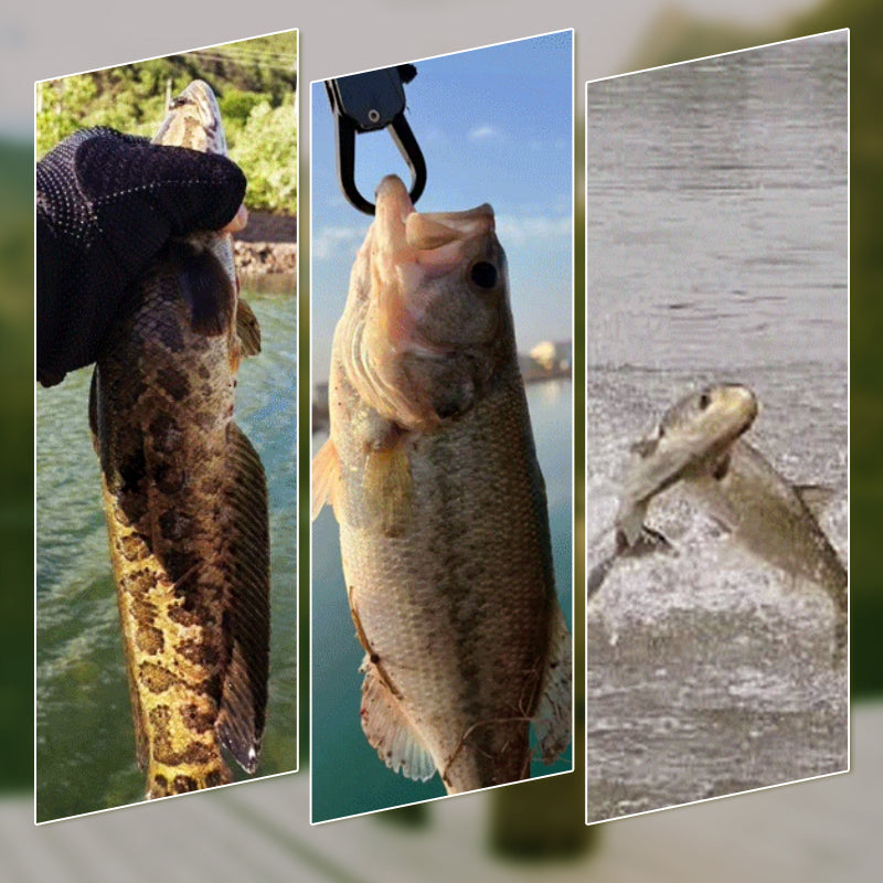 Realistic 3D floating fishing lure set with 3 hooks