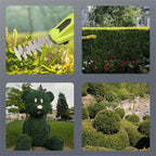 TurfBlade Hassle-Free Lawncare