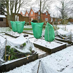 Plant cover Frost protection