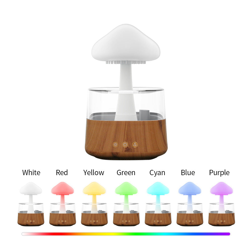 Rain Cloud humidifier