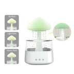 Rain Cloud humidifier