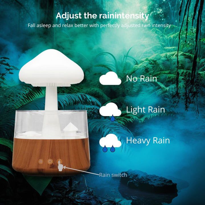 Rain Cloud humidifier