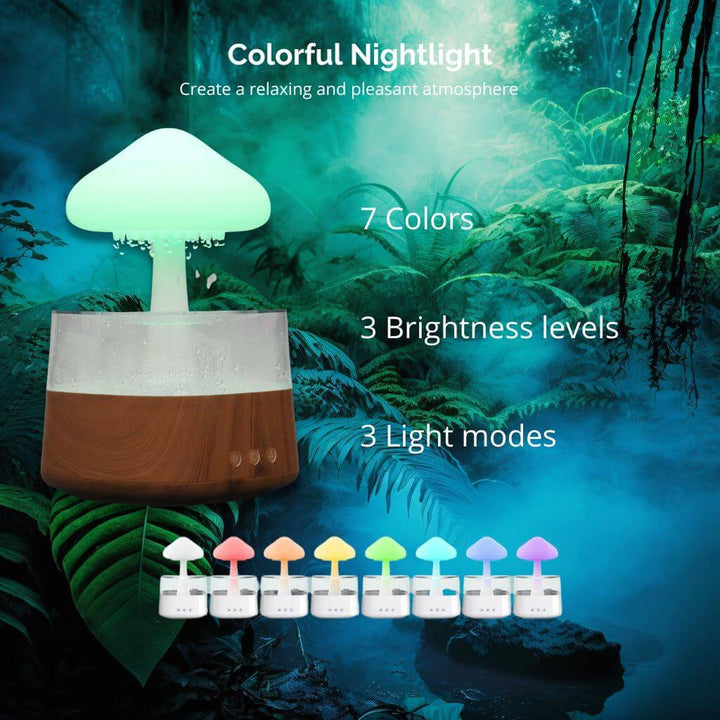 Rain Cloud humidifier
