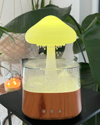 Rain Cloud humidifier