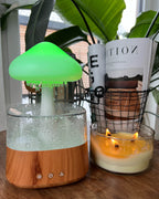 Rain Cloud humidifier