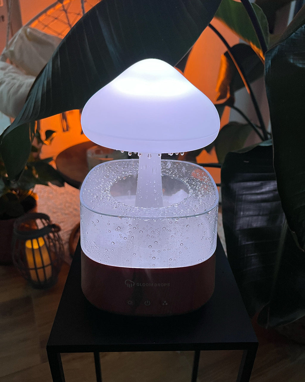 Rain Cloud humidifier