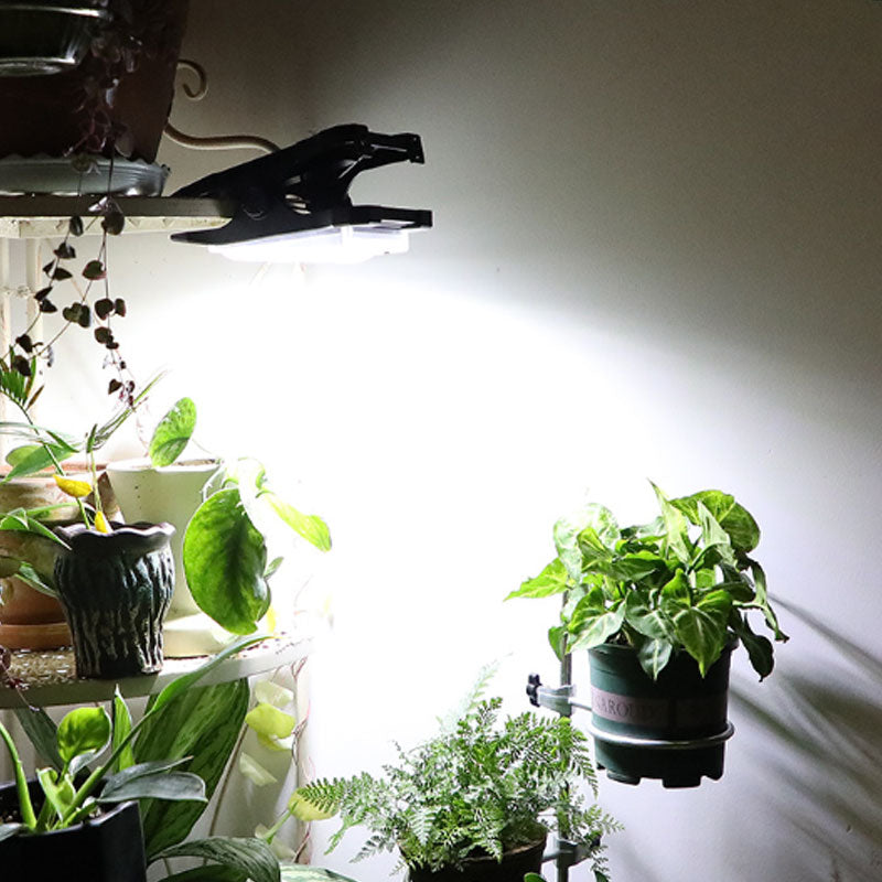 Solar Outdoor Clip Light with Motion Sensor