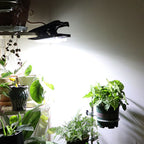 Solar Outdoor Clip Light with Motion Sensor