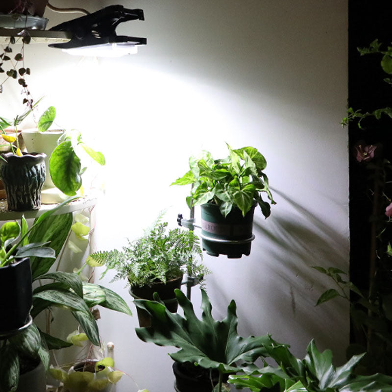 Solar Outdoor Clip Light with Motion Sensor