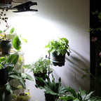 Solar Outdoor Clip Light with Motion Sensor