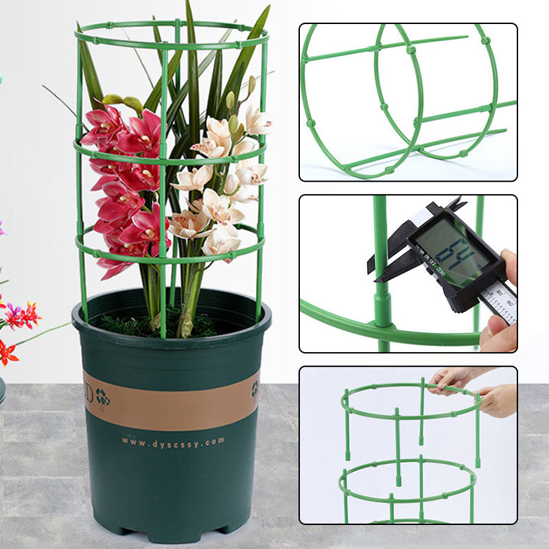 Removable plant support for flowers and fruits