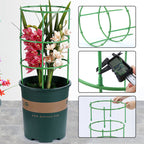 Removable plant support for flowers and fruits