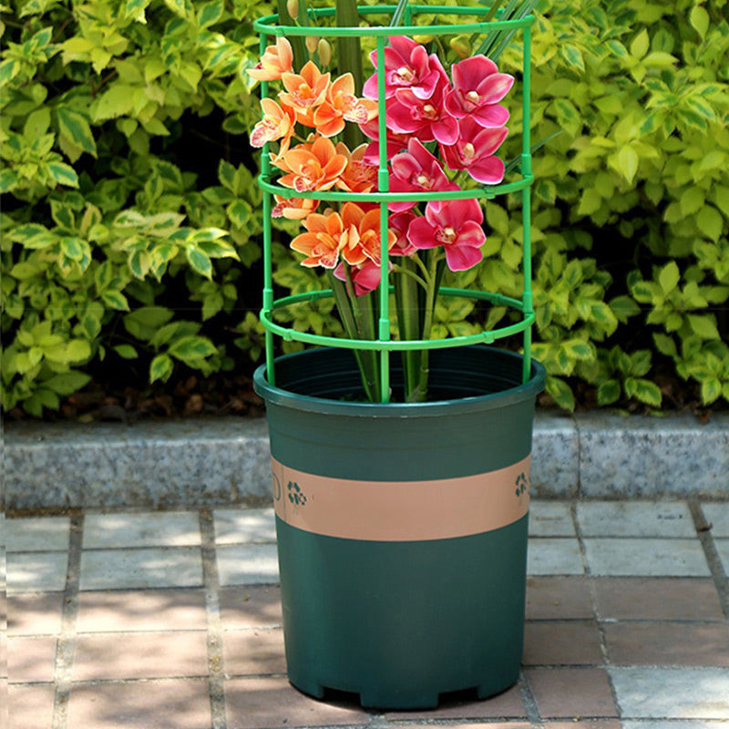 Removable plant support for flowers and fruits