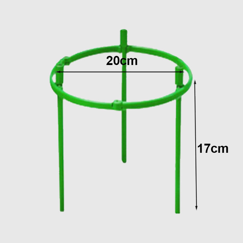 Removable plant support for flowers and fruits