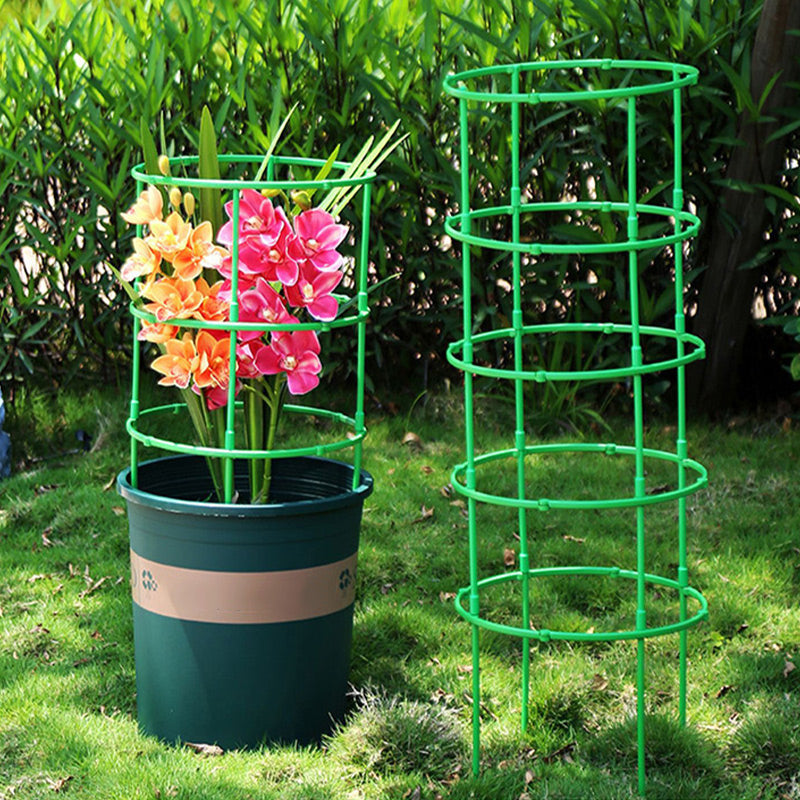 Removable plant support for flowers and fruits