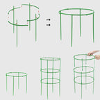 Removable plant support for flowers and fruits