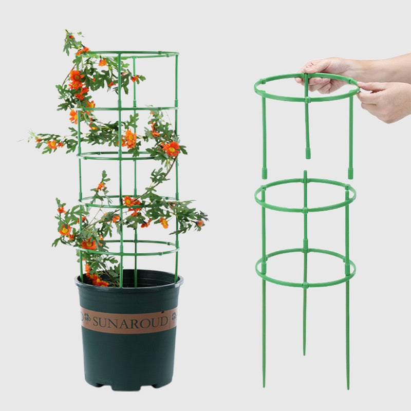 Removable plant support for flowers and fruits