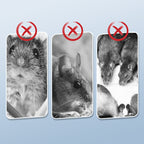 Powerful mouse trap with high sensitivity