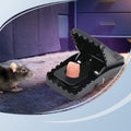 Powerful mouse trap with high sensitivity