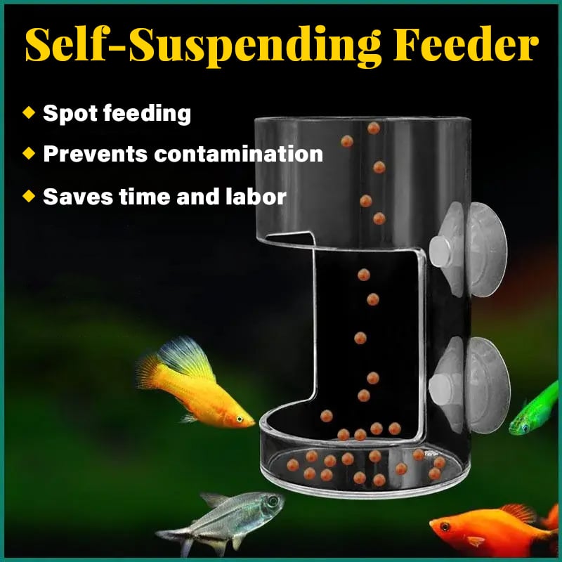 Feeding ring and tray for aquarium