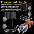 Feeding ring and tray for aquarium