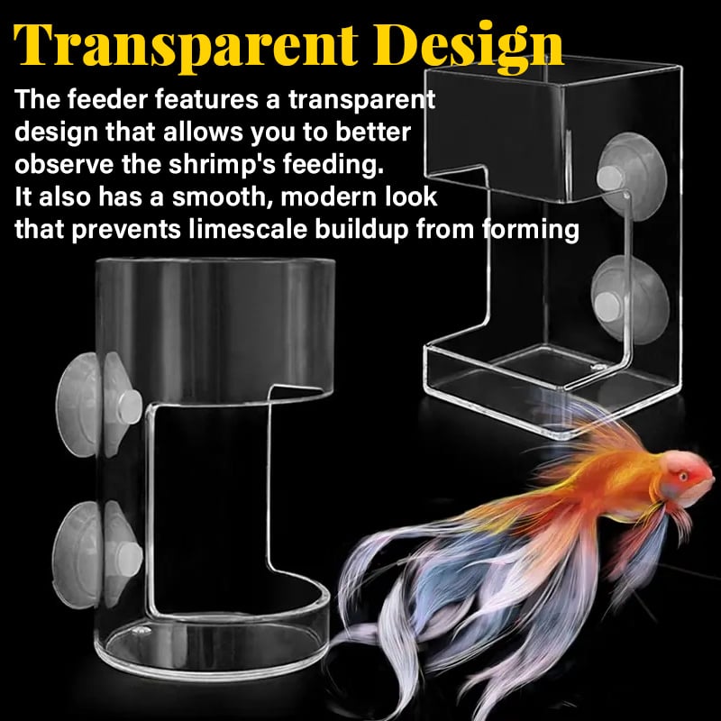 Feeding ring and tray for aquarium
