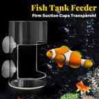 Feeding ring and tray for aquarium