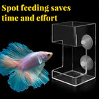 Feeding ring and tray for aquarium