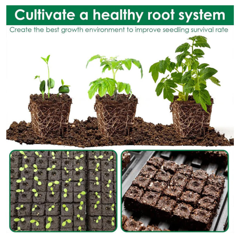 EcoBrick Root-Ready Blocks
