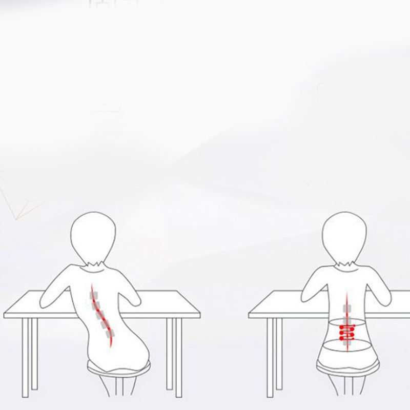 Adjustable back support belt for lower back