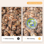 PureWhirl – Clean eating without nutrient loss!