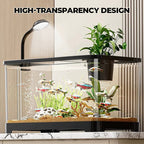 Small home aquarium