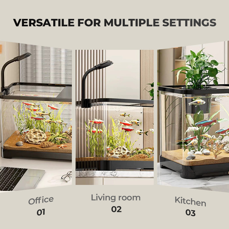 Small home aquarium