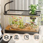 Small home aquarium