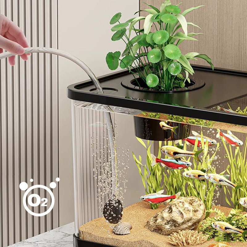 Small home aquarium