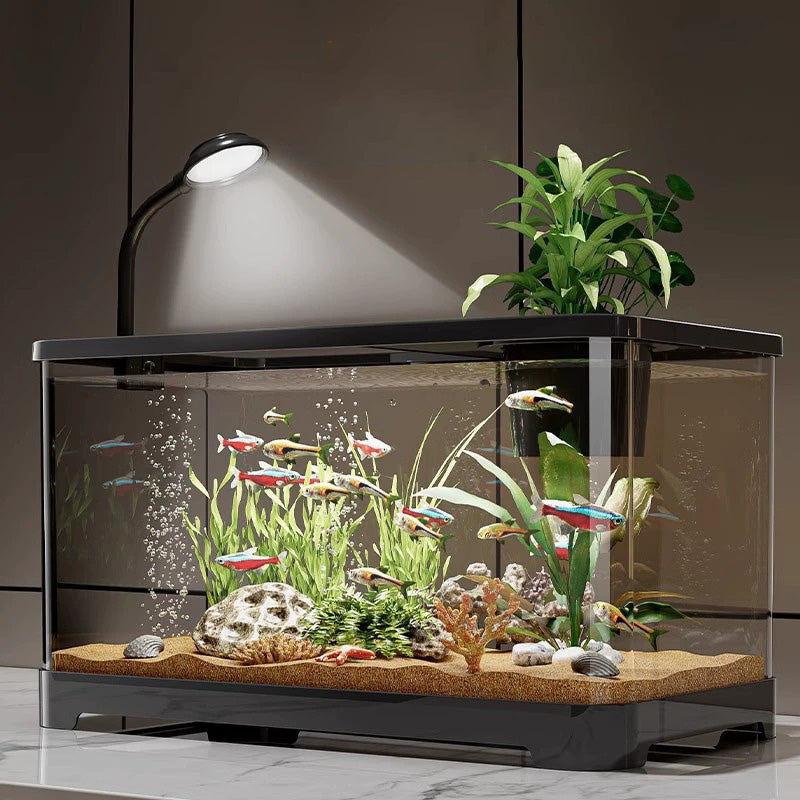 Small home aquarium