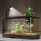 Small home aquarium