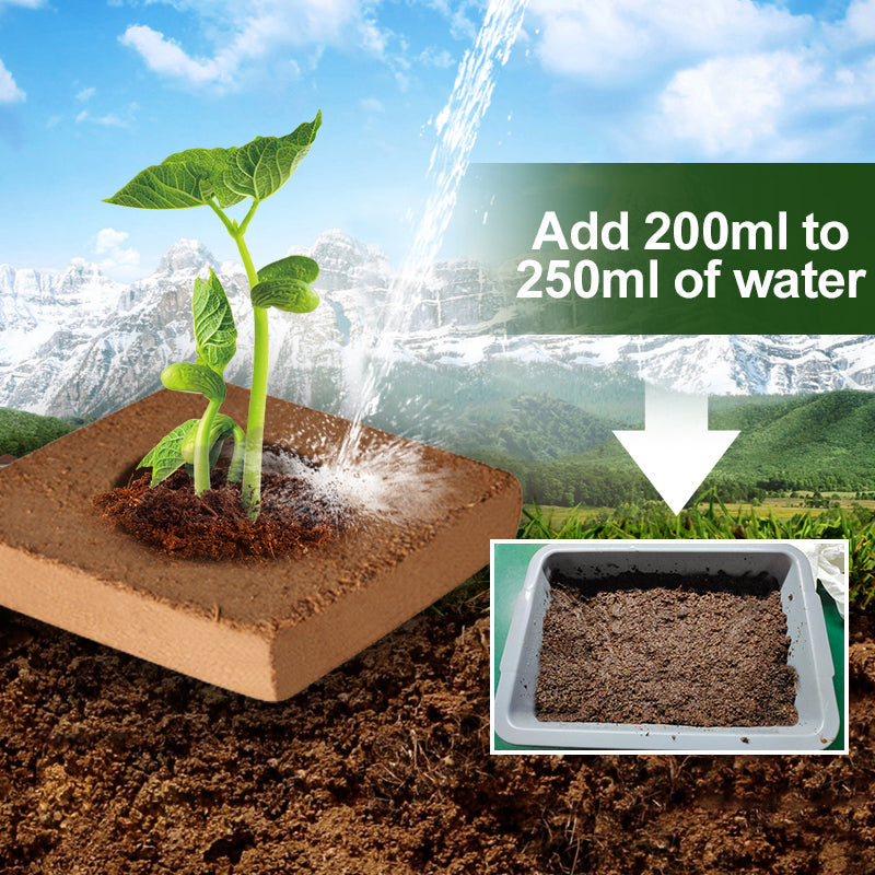 The Best Gift for Gardening - Organic Coconut Fiber for Plants