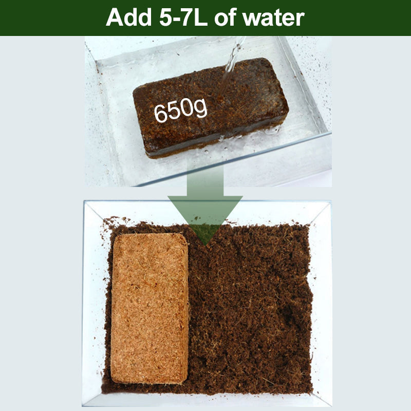The Best Gift for Gardening - Organic Coconut Fiber for Plants