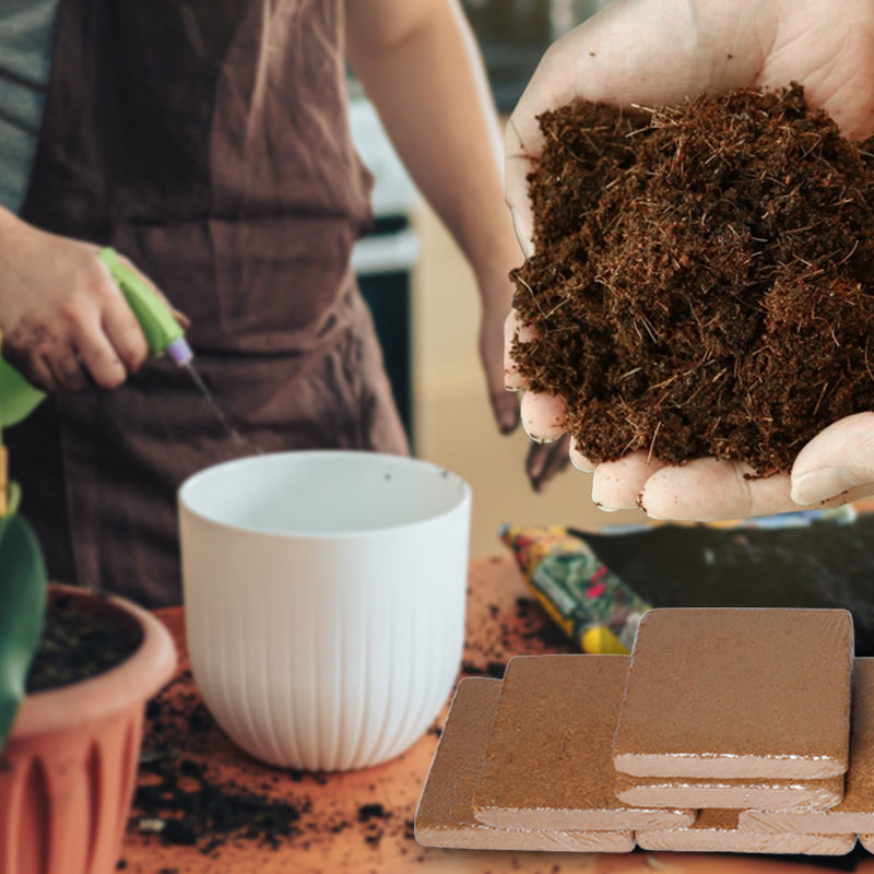 The Best Gift for Gardening - Organic Coconut Fiber for Plants