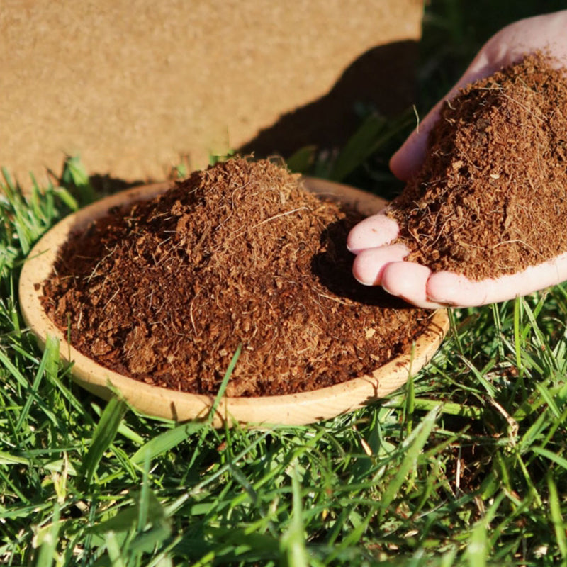 The Best Gift for Gardening - Organic Coconut Fiber for Plants