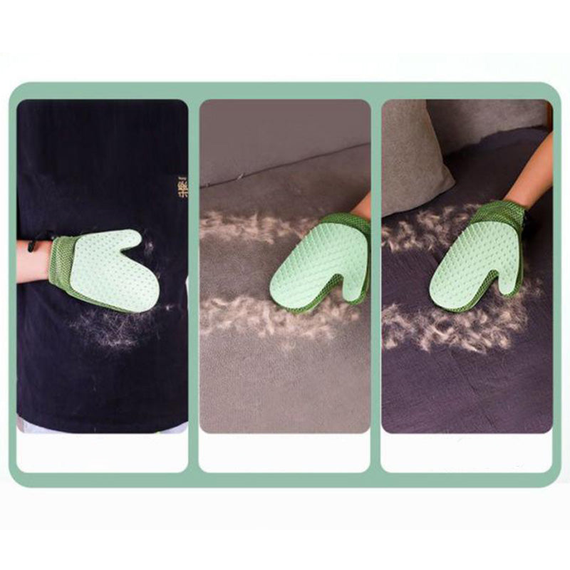 FurMist – Coat care without water stress!