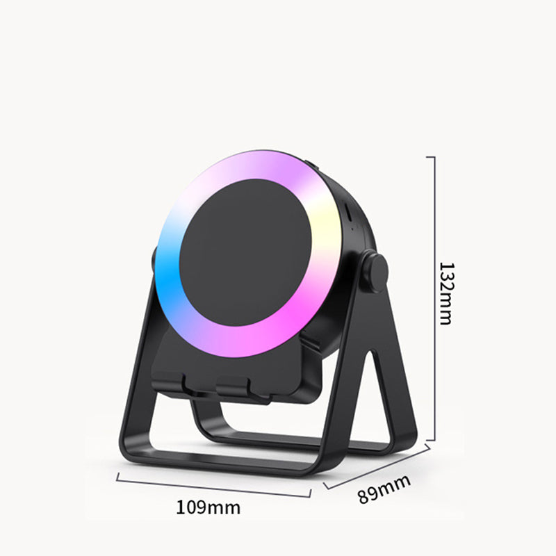 BassHold Portable Sound Support
