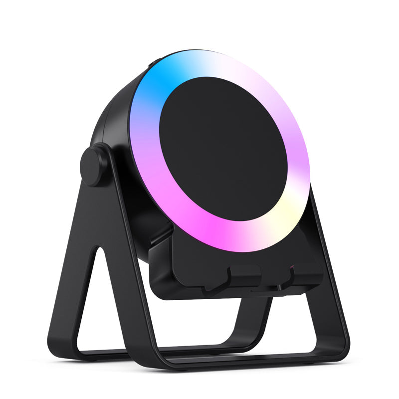 BassHold Portable Sound Support
