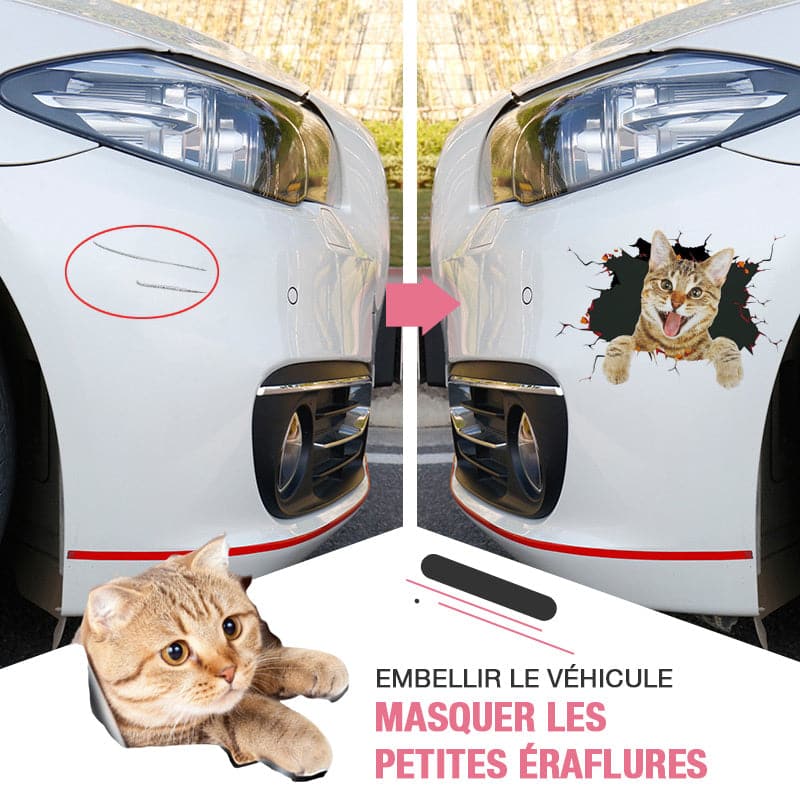 3D stickers with cats and dogs that can be removed
