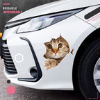 3D stickers with cats and dogs that can be removed