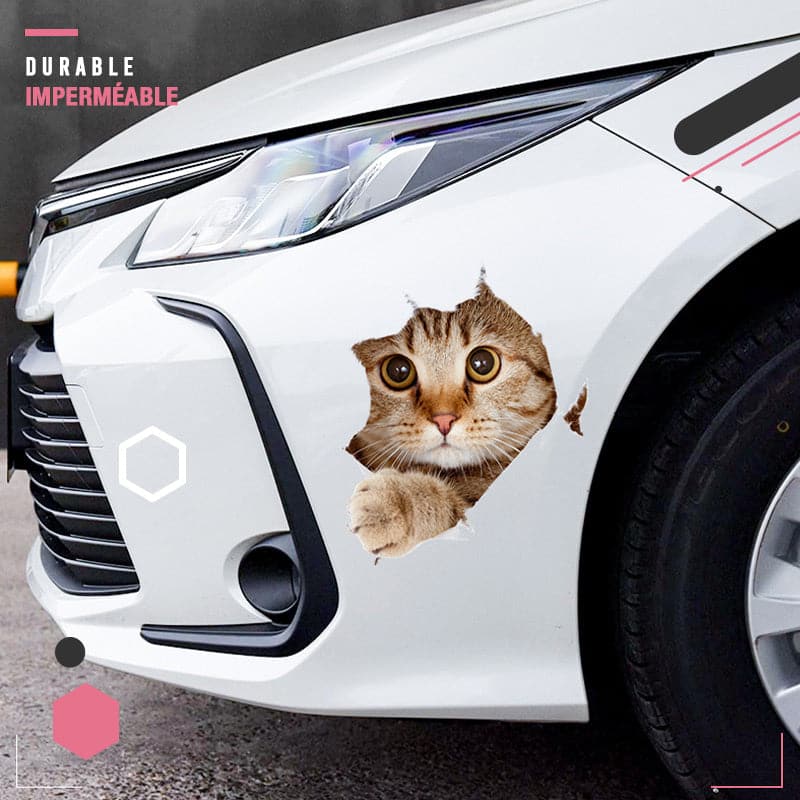 3D stickers with cats and dogs that can be removed